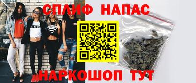 Альфа ПВП Аргун
